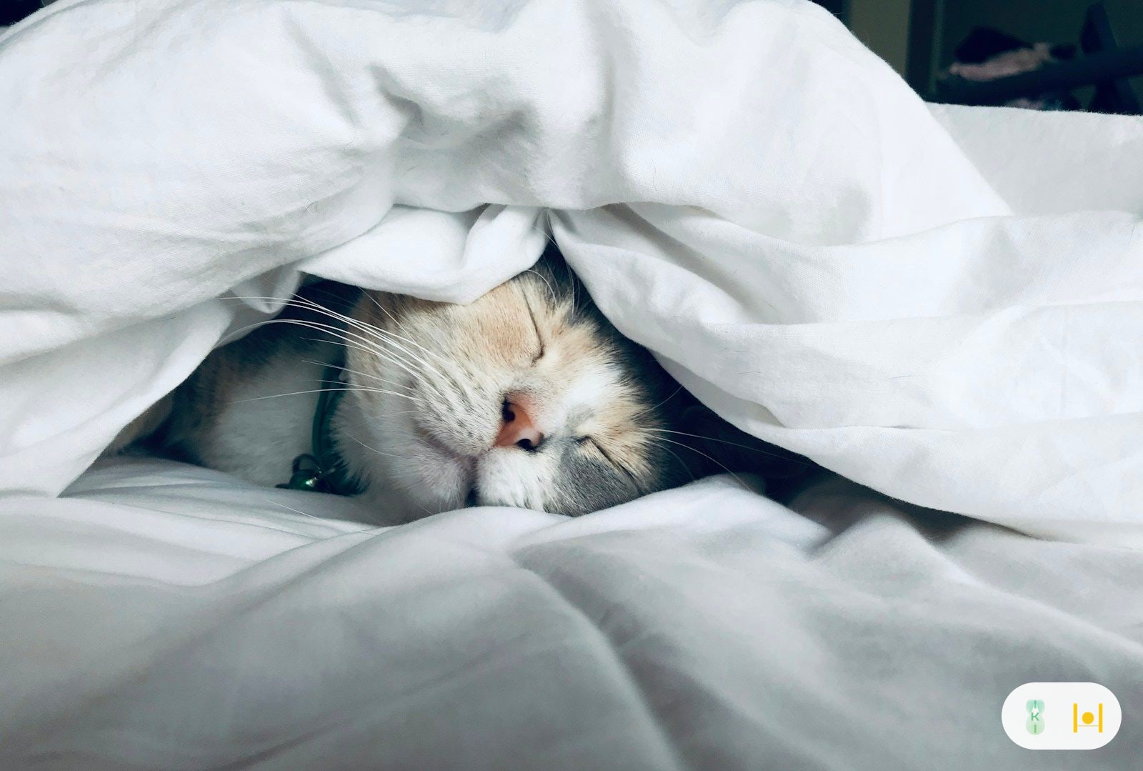 Phòng ngủ ấm cúng, ánh đèn vàng dịu, giường gọn gàng gợi cảm giác thư thái trước giờ đi ngủ