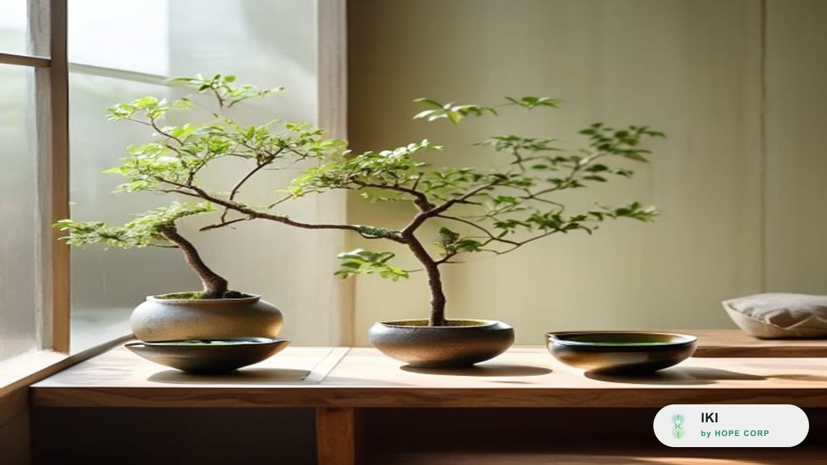 Ikigai: khoảng lặng tinh thần an vui